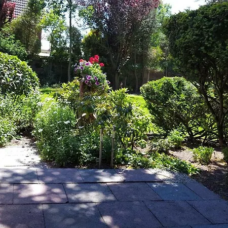 1 Mit Ueberdachte Terrasse Zum Garten Naehe Und Hafen