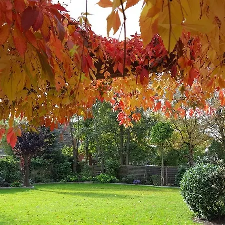 아파트 1 Mit Ueberdachte Terrasse Zum Garten Naehe Und Hafen *